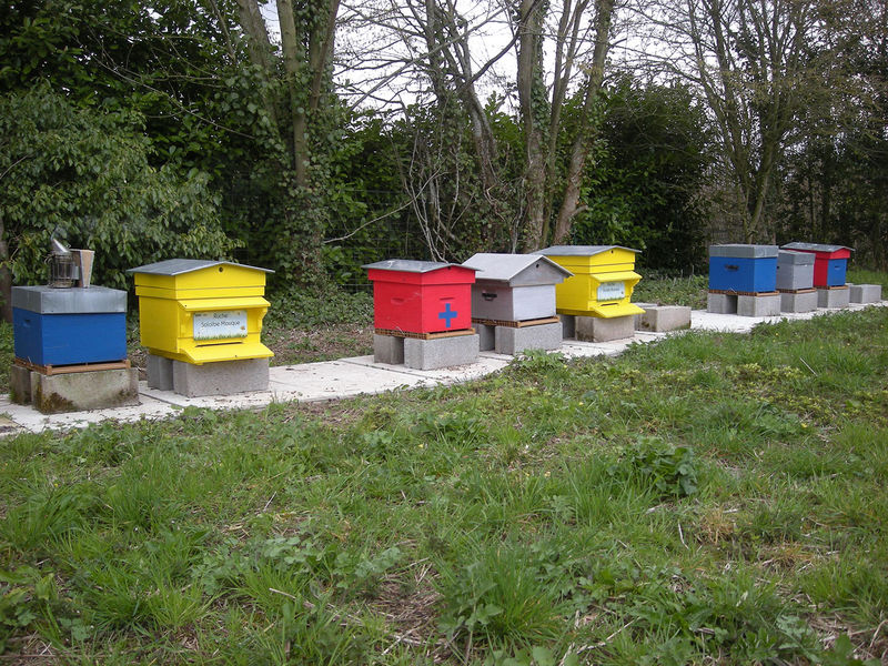 La ruche Sololbe Mouque